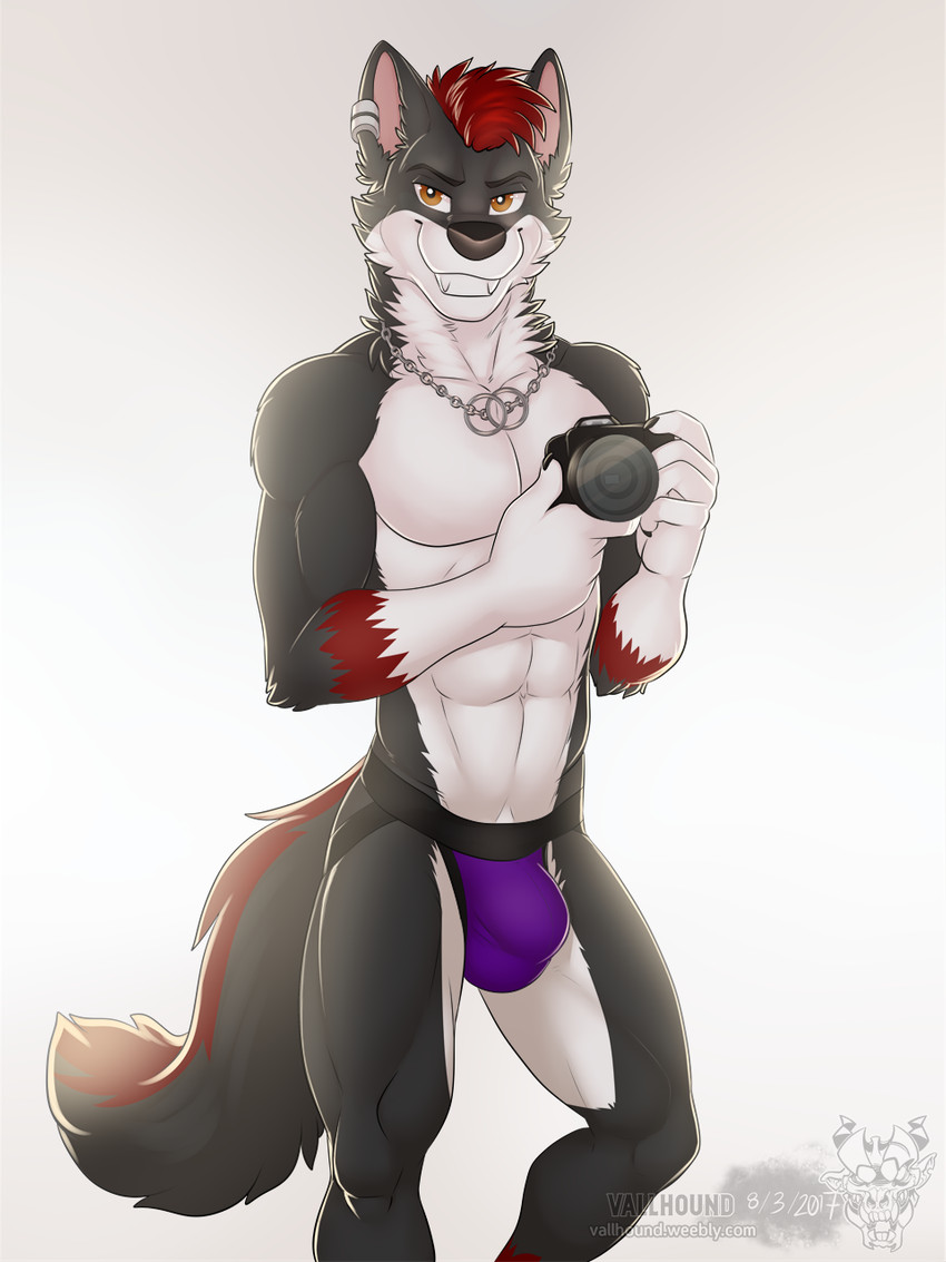 abs anthro bulge camera clothed clothing ear_piercing fur grey_body grey_fur hair jewelry jockstrap looking_at_viewer male markings necklace orange_eyes piercing purple_clothing purple_underwear red_hair red_markings smile solo tail underwear white_body white_fur vallhound howdyhowl canid canine canis mammal wolf 3:4 digital_media_(artwork) hi_res