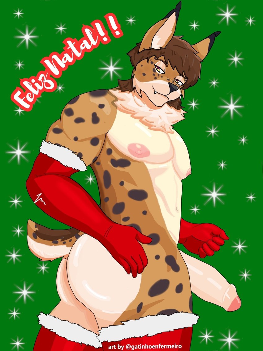 anthro big_butt big_penis brown_hair butt christmas_clothing clothing genitals gloves hair handwear holidays humanoid_genitalia humanoid_penis leg_stockings male markings neck_tuft nipples penis pink_nipples smile solo spots spotted_markings text tuft yellow_eyes gatinhoenfermeiro christmas victor_(gatinhoenfermeiro) felid feline lynx mammal 3:4 hi_res portuguese_text