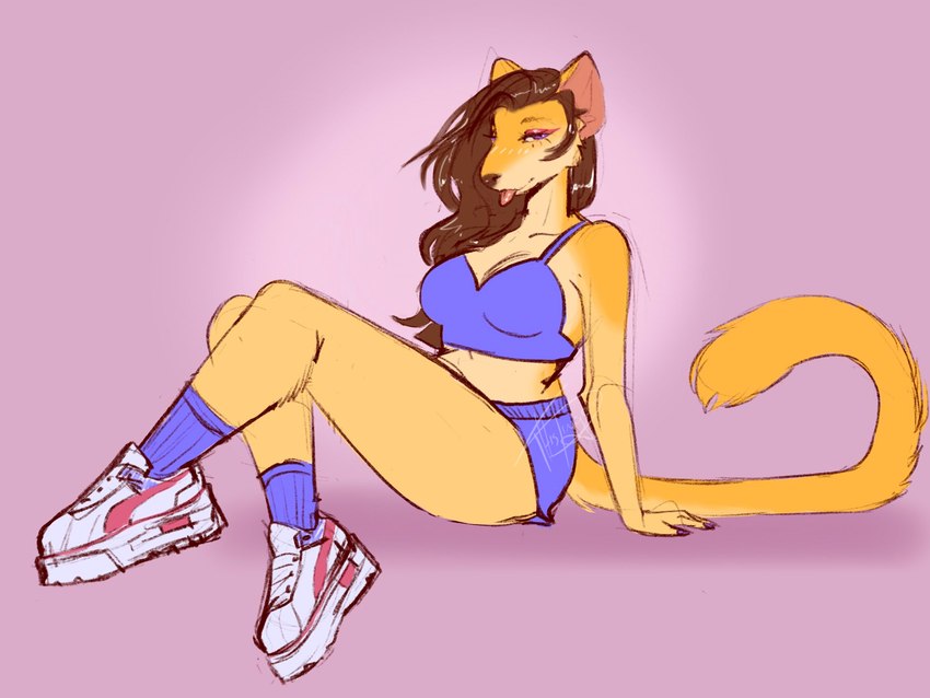 anthro brown_hair clothing crossed_legs female footwear hair looking_at_viewer purple_eyes shoes sneakers solo sportswear tongue tongue_out winged_eyeliner thisdingo brioche_(thisdingo) brushtail_marten gulonine mammal marten mustelid musteline 2022 4:3 hi_res