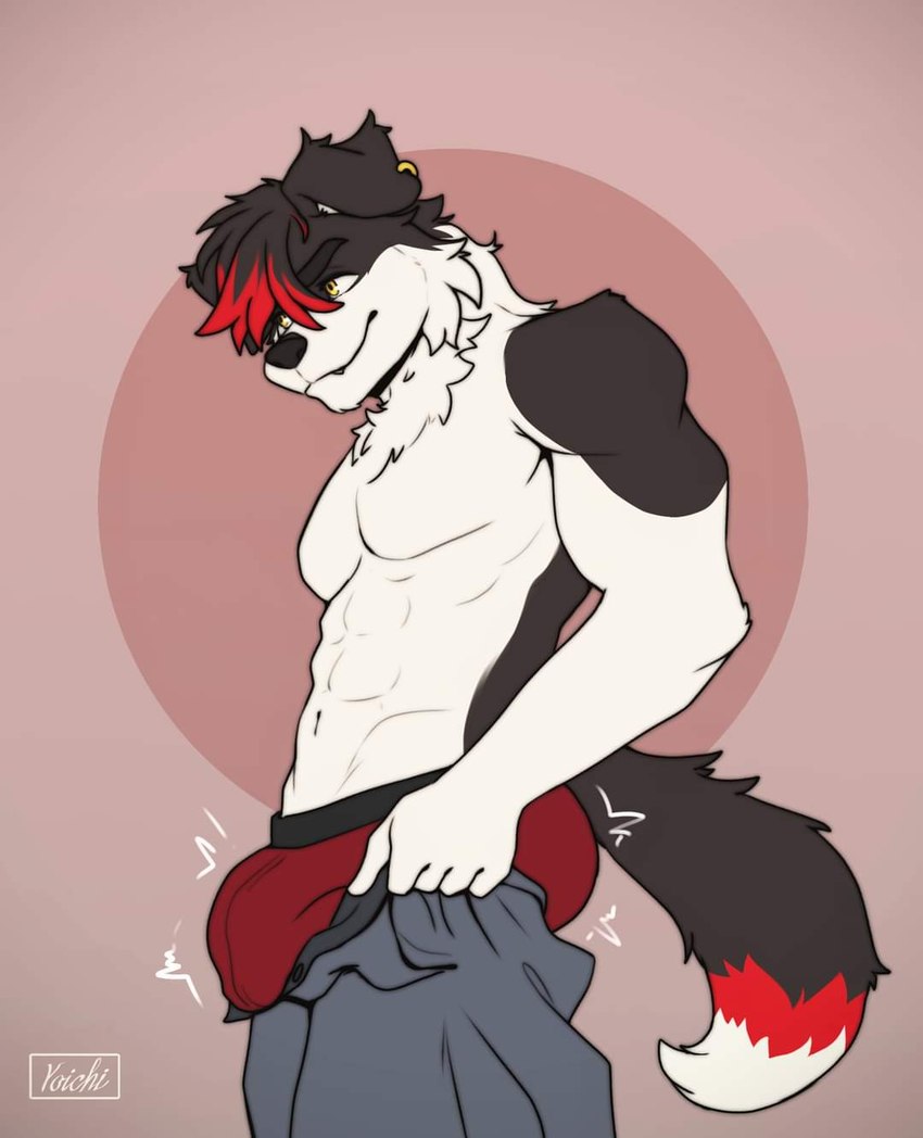 anthro bottomwear bottomwear_down boxers_(clothing) bulge clothed clothing dominant dominant_male hair male pants pants_down partially_clothed piercing pose red_hair underwear kazon_(yoichi) kazoncito tight_pants_(meme) cheitan border_collie canid canine canis collie domestic_dog herding_dog humanoid mammal pastoral_dog sheepdog hi_res meme pinup