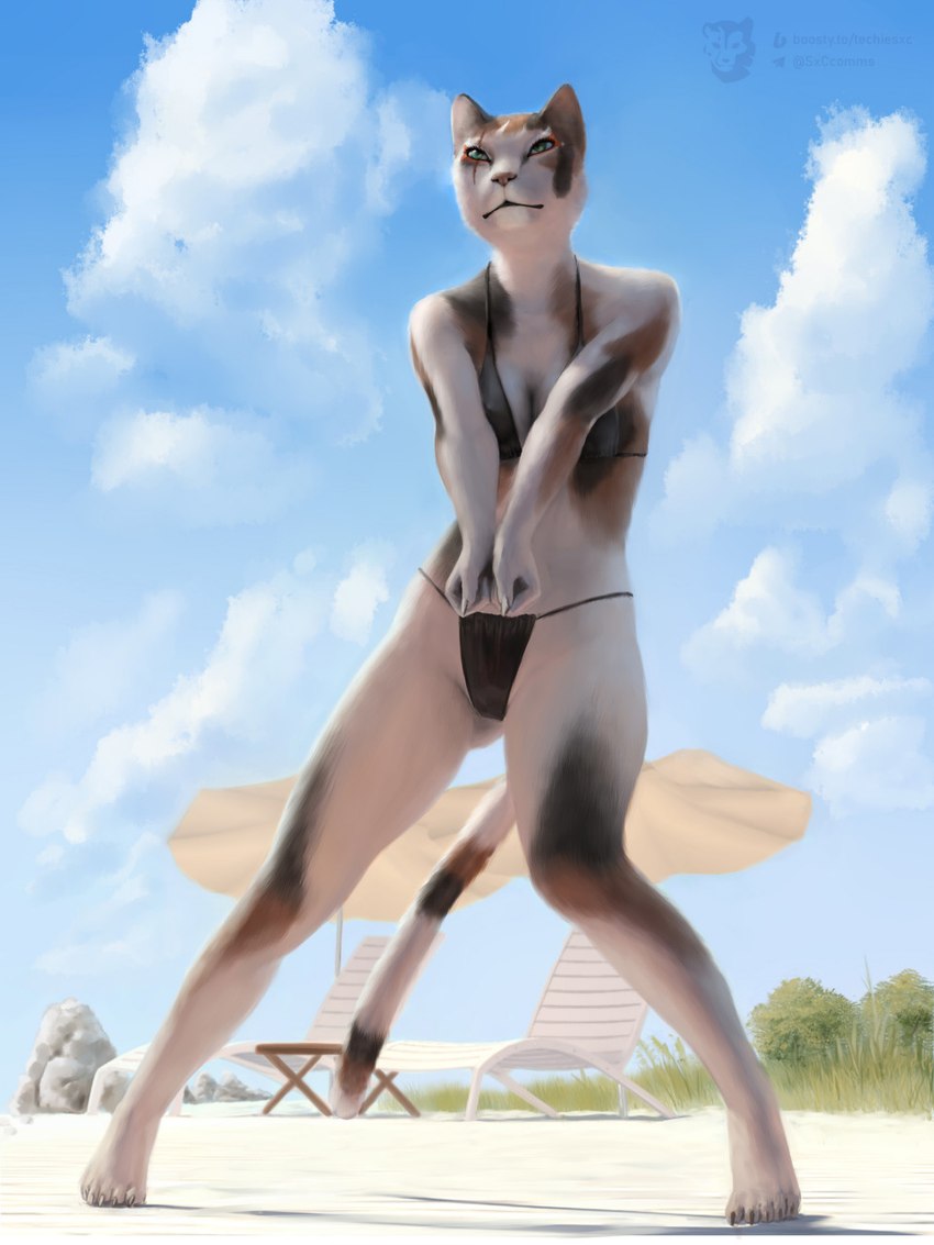 5_toes anthro auridon barefoot beach beach_chair beach_umbrella bikini biped black_bikini black_body black_clothing black_fur black_swimwear blue_sky breasts brown_body brown_fur claws clothed clothed_anthro clothed_female clothing cloud day feet female female_anthro finger_claws fingers front_view fur grass green_eyes makeup markings mascara mottled mottled_body mottled_fur mouth_closed multicolored_body multicolored_fur parasol piebald piebald_body piebald_fur plant plantigrade playing_sport pose rock sand scar seaside sky small_breasts solo sport standing striped_markings striped_tail stripes swimwear tail tail_markings thick_thighs toe_claws toes tree two-piece_swimsuit volleyball white_body white_claws white_fur artz2012 silverbloodwolf98 techiesxc elsweyr microsoft the_elder_scrolls the_elder_scrolls_online calico_cat domestic_cat felid feline felis khajiit mammal 3:4 full-length_portrait hi_res portrait