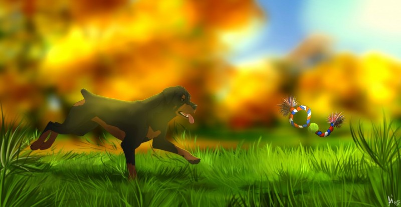 black_body black_nose black_skin blurred_background brown_body brown_eyes brown_skin chew_toy detailed_background feral floppy_ears grass leaf multicolored_body multicolored_skin plant poem poem_in_description running sharp_teeth short_tail sky solo tail teeth tongue tongue_out toy tree cinta canid canine canis dobermann domestic_dog mammal pinscher 2015 story