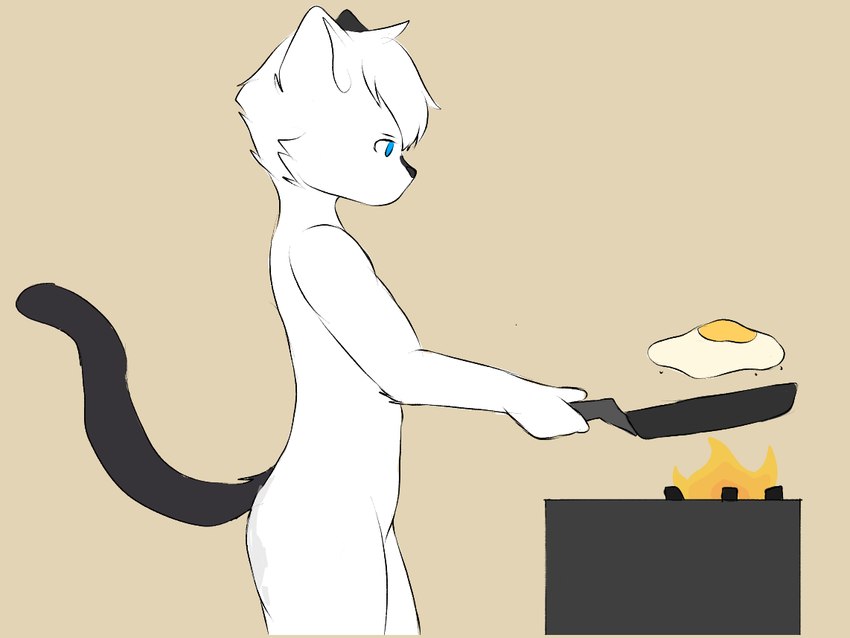 5_fingers anthro appliance black_nose black_tail blue_eyes breakfast cooking cookware fingers fried_egg frying_pan fur kitchen_utensils male multicolored_body multicolored_fur simple_background solo stove tail tools white_body white_fur zafox_id meko domestic_cat felid feline felis mammal