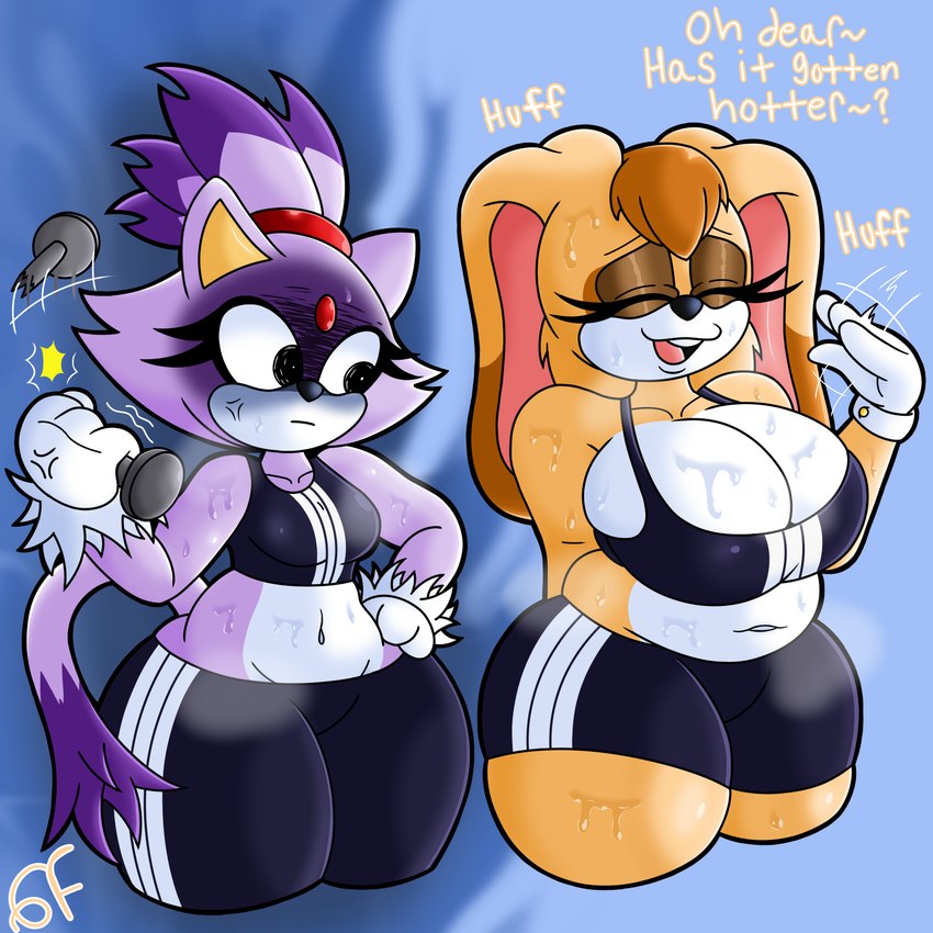 age_difference anthro big_breasts bodily_fluids bottomwear breast_envy breasts clothing cooling_off cross-popping_vein duo envy female female_anthro fur heat_(temperature) jealous mature_anthro mature_female mob older_female overheated purple_body purple_fur shorts slightly_chubby slightly_chubby_female small_breasts sweat sweaty_breasts sweaty_legs text thick_thighs wide_hips workout_clothing workout_equipment younger_female bomba_world12 sega sonic_the_hedgehog_(series) sports_bra_difference_meme blaze_the_cat vanilla_the_rabbit domestic_cat felid feline felis lagomorph leporid mammal rabbit 1:1 2023 english_text hi_res meme