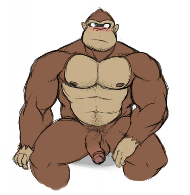 abs balls biceps big_muscles blush body_hair brown_body brown_fur brown_nipples dark_glans facial_hair fingers flaccid foreskin fur genitals glans hairy hairy_balls humanoid_genitalia humanoid_penis looking_at_viewer male muscular muscular_male nipples nude partially_retracted_foreskin pecs penis pose shadow simple_background sitting solo tan_body tan_fur vein white_background wkd donkey_kong_(series) nintendo donkey_kong_(character) ape gorilla haplorhine mammal primate 2014 colored colored_sketch sketch