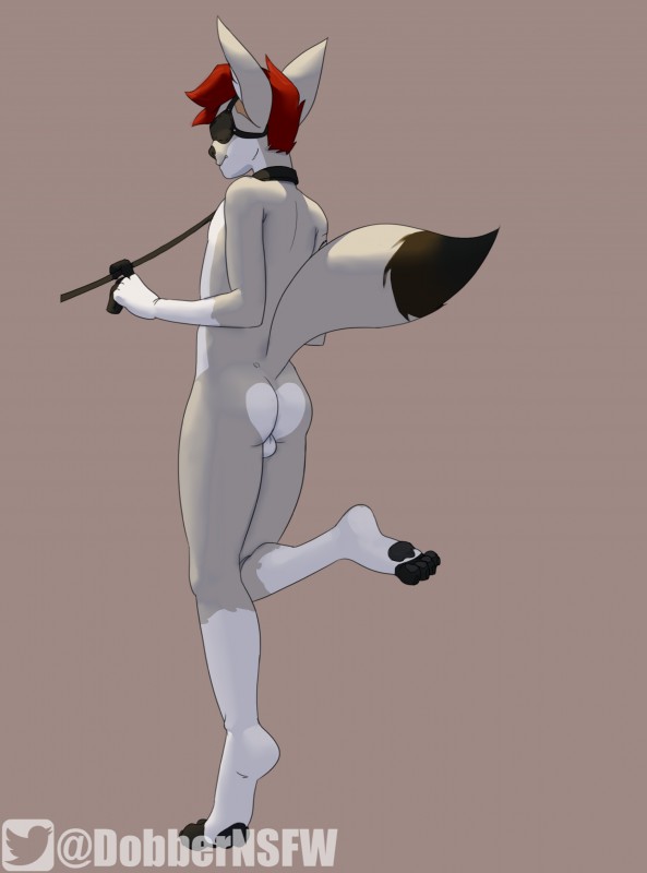 4_toes anthro balls bdsm biped blindfold butt feet fur genitals hair male pawpads petplay roleplay solo toes twitter_logo dobbernsfw twitter york_(fennecyork) canid canine fennec_fox fox mammal true_fox 2019 absurd_res hi_res