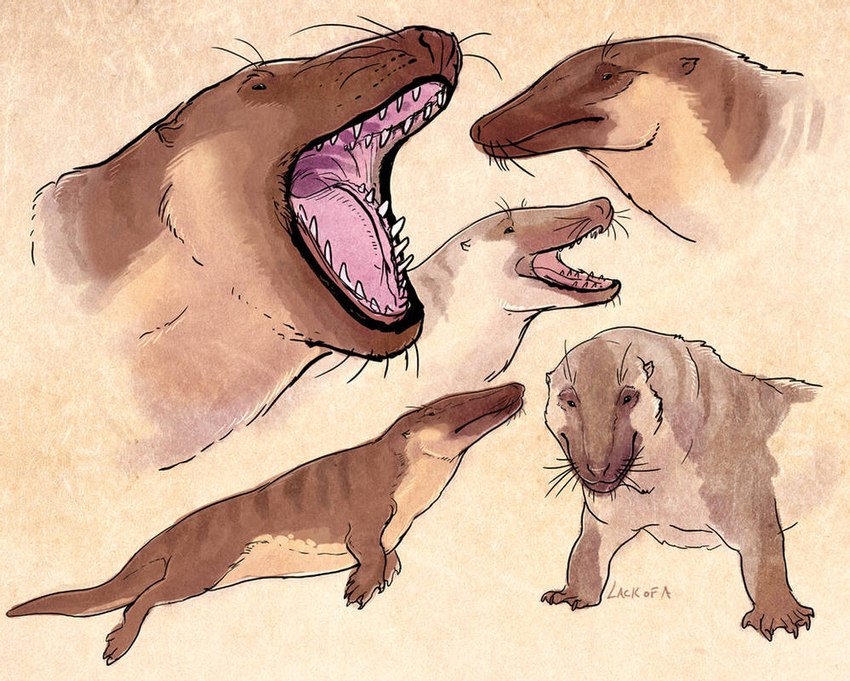 5_fingers ambiguous_gender brown_body brown_fur countershading feral fingers fur open_mouth pink_tongue quadruped small_ears solo stripes tan_body tan_countershading tan_fur teeth tongue whiskers lackofa ambulocetid ambulocetus archaeoceti cetacean mammal marine prehistoric_species 2016