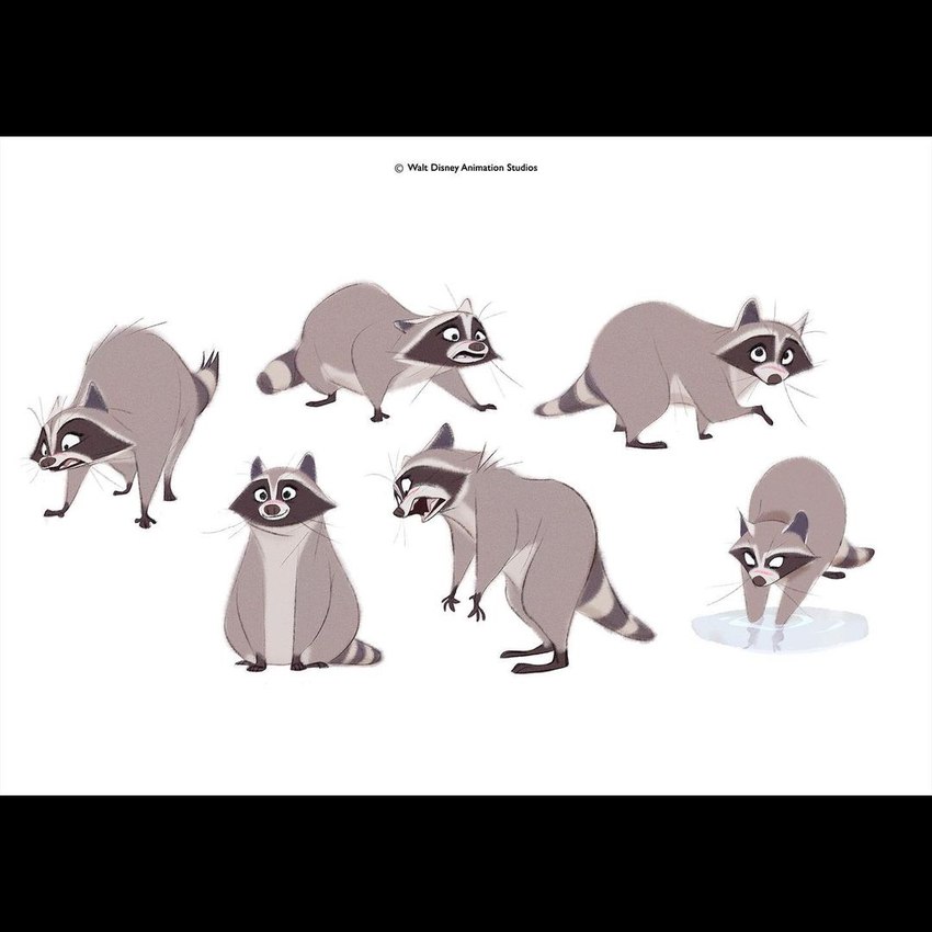 black_bars feral grey_body multiple_poses pose scar simple_background sitting solo washing_hands water white_background worried jamwoods disney far_from_the_tree marie_(far_from_the_tree) mammal procyonid raccoon 1:1 concept_art letterbox official_art