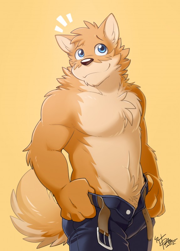 anthro belt biceps blue_eyes body_hair bottomwear chest_tuft clothed clothing countershading crotch_tuft denim denim_bottomwear denim_clothing fluffy fur happy_trail inner_ear_fluff jeans looking_up male multicolored_body multicolored_fur muscular muscular_anthro muscular_male pants shy simple_background solo standing tan_body tan_fur topless tuft two_tone_body two_tone_fur unbuttoned undressing takemoto_arashi takemoto canid canine canis domestic_dog mammal 2015 absurd_res digital_media_(artwork) hi_res