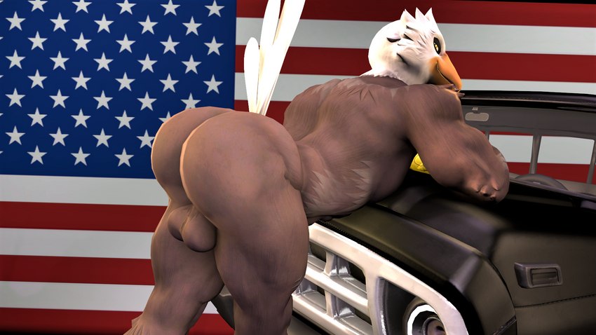 american_flag anthro arched_back balls bent_over big_butt bubble_butt butt feathers flag genitals light_truck looking_at_viewer male muscular muscular_male nude on_hood pickup_truck presenting presenting_hindquarters solo truck united_states_of_america vehicle vintage_car kyleroo petruz_(modeler) bird_(petruz) accipitrid accipitriform avian bald_eagle bird eagle sea_eagle 16:9 3d_(artwork) digital_media_(artwork) hi_res source_filmmaker_(artwork) widescreen