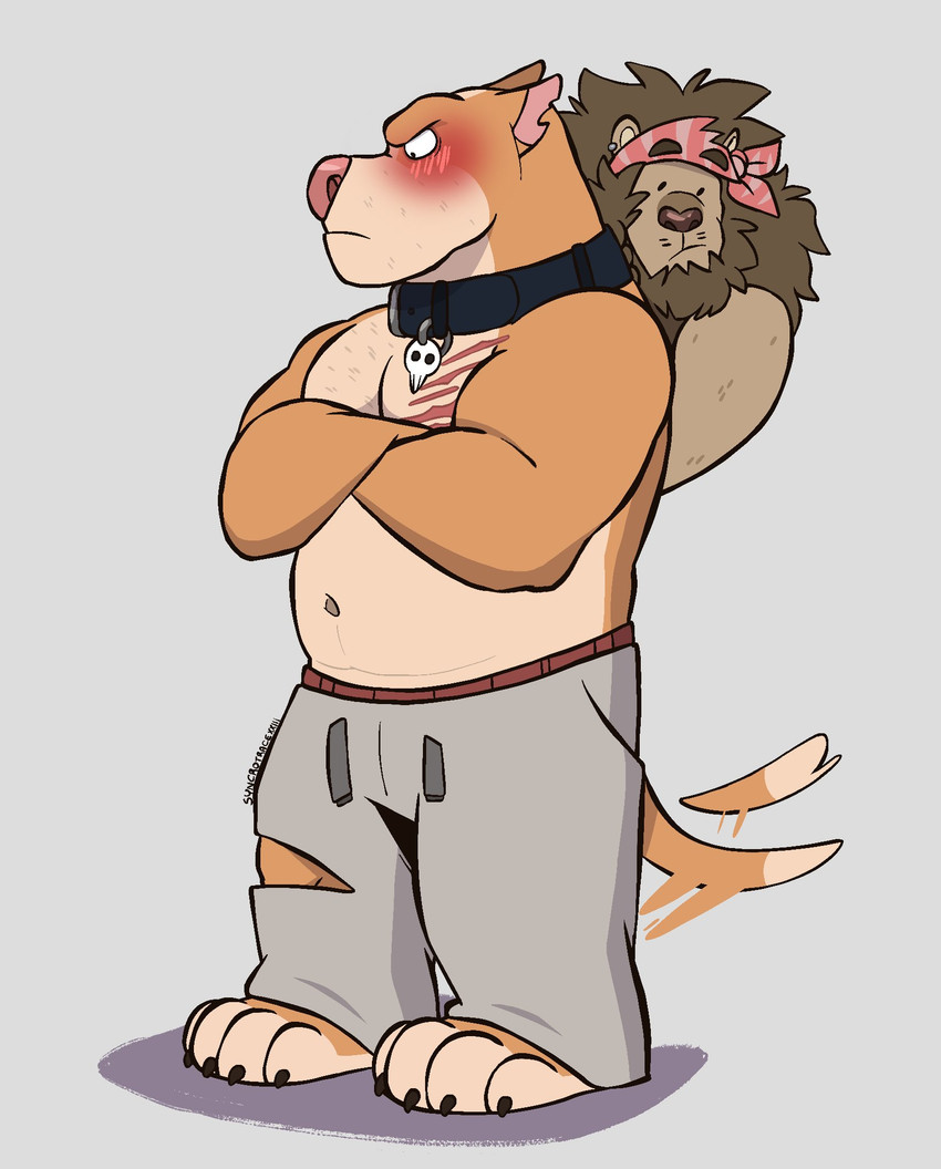 anthro barefoot bashful belly big_muscles black_collar blush blush_lines body_hair bottomwear brown_body brown_fur brown_nose chest_hair chest_scar claws clothing collar collar_tag crossed_arms dialogue drawstring drawstring_bottomwear drawstring_clothing drawstring_pants duo embarrassed embarrassed_expression embarrassed_male eyebrows feet fur grey_bottomwear grey_clothing grey_pants grey_sweatpants grumpy looking_at_tail looking_away looking_down male male/male mane manly muscular muscular_anthro muscular_male orange_body orange_fur pants pec_scar pink_nose raised_eyebrows red_bandana red_clothing scar secretly_loves_it shadow simple_background skull_collar skull_collar_tag speech_bubble sweatpants tail tail_motion tailwag text thick_arms thick_eyebrows torn_bottomwear torn_clothing torn_pants tough_guy whiskers white_background syncrotrace archie_(syncrotrace) cedar_(syncrotrace) canid canine canis domestic_dog felid feline lion mammal pantherine pit_bull english_text hi_res