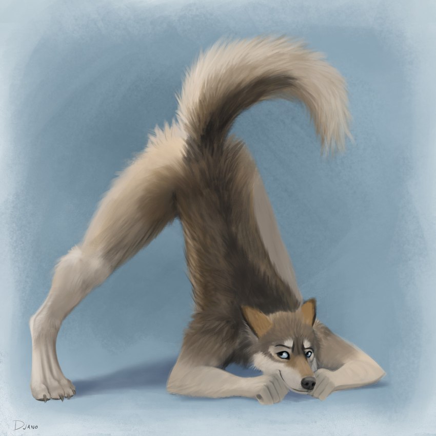 anthro ass_up blue_sclera butt fur grey_body grey_fur jack-o'_pose looking_back male nude pose presenting presenting_hindquarters raised_tail simple_background smile smirk solo tail white_body white_fur djano canid canine canis mammal wolf 2021 hi_res signature