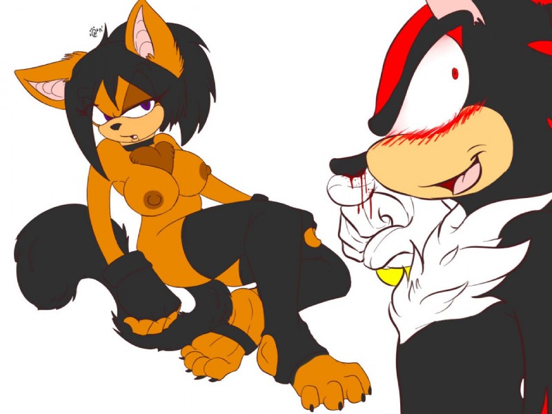 fan character, iris the cat, and shadow the hedgehog (sonic the hedgehog (series) and etc) created by bubble kitten17