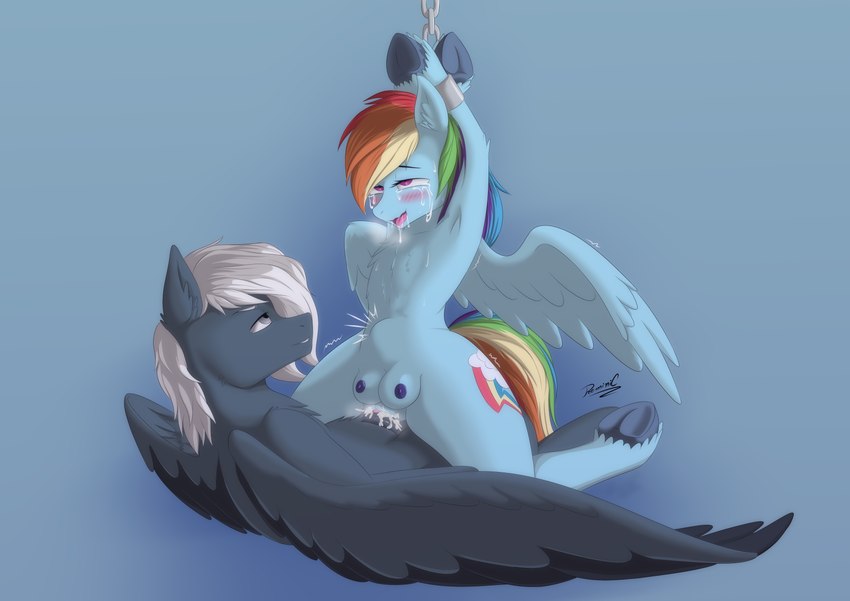 rainbow dash and tempest streamrider (friendship is magic and etc) created by reminic