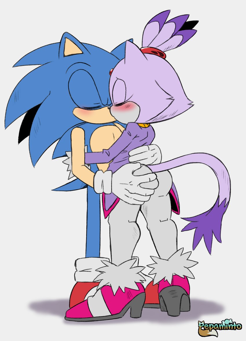 blaze the cat and sonic the hedgehog (sonic the hedgehog (series) and etc) created by pepamintop