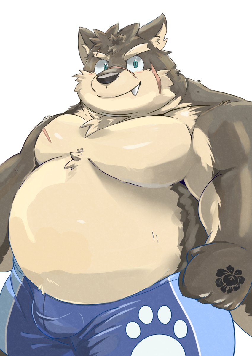 anthro belly bottomwear bulge clothing cute_fangs eyebrows facial_scar fangs fur grey_body grey_fur male musclegut muscular pecs scar shorts solo swimwear teeth thick_eyebrows tanukinoden lifewonders tokyo_afterschool_summoners moritaka_(tas) canid canine canis domestic_dog mammal hi_res