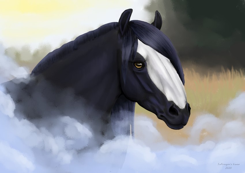 ambiguous_gender black_body black_hair black_mane facial_markings feral fog hair head_markings looking_at_viewer mane markings solo yellow_eyes rune7c clyde_(wasen) draft_horse equid equine horse mammal