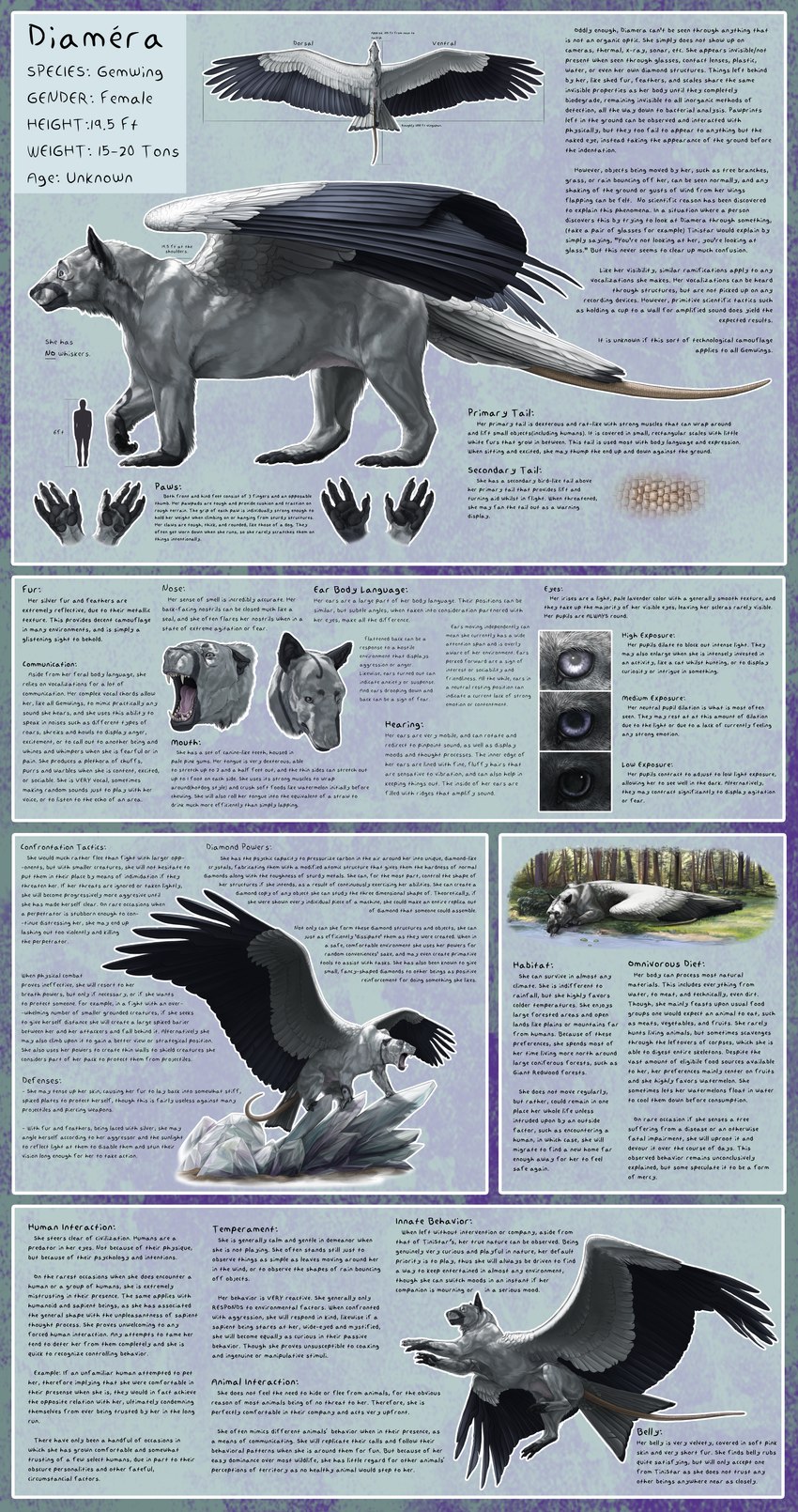 2_tails 4_toes black_pawpads black_wings claws crystal drinking_water feet female feral forest fur grey_body grey_fur grey_wings lake lizard_tail looking_aside lore multi_tail open_mouth pawpads paws plant pupil_dilation roaring scales solo spread_wings standing tail teeth text toes tongue tongue_out tree two_tone_wings white_body white_fur wings tinistarvicti mythology diamera dragon furred_dragon furred_scalie mythological_creature mythological_scalie scalie absurd_res digital_media_(artwork) english_text full-length_portrait hi_res model_sheet portrait