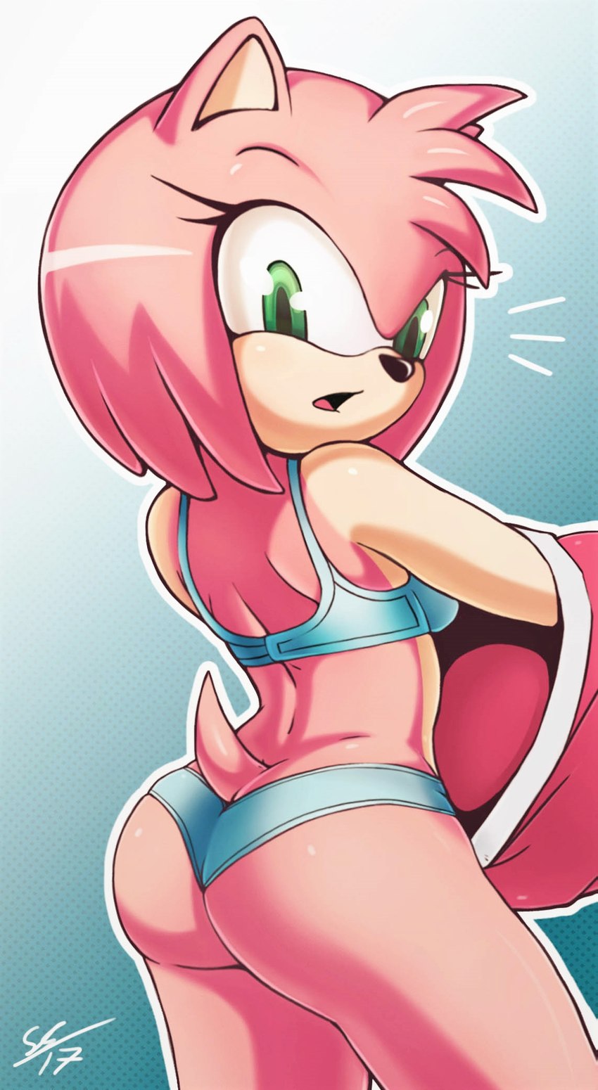 amy rose (sonic the hedgehog (series) and etc) created by secretly saucy