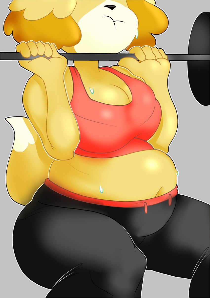 anthro belly belly_focus big_breasts bodily_fluids bottomwear bra_lines breasts cleavage clothed clothing crop_top dipstick_tail exercise female high_waisted_bottomwear markings navel pants potbelly puffed_cheeks shirt solo straining sweat sweatpants sweaty_belly tail tail_markings topwear torso_shot weightlifting workout yellow_body strawberrywith4 animal_crossing nintendo isabelle_(animal_crossing) canid canine canis domestic_dog mammal shih_tzu toy_dog absurd_res digital_media_(artwork) hi_res