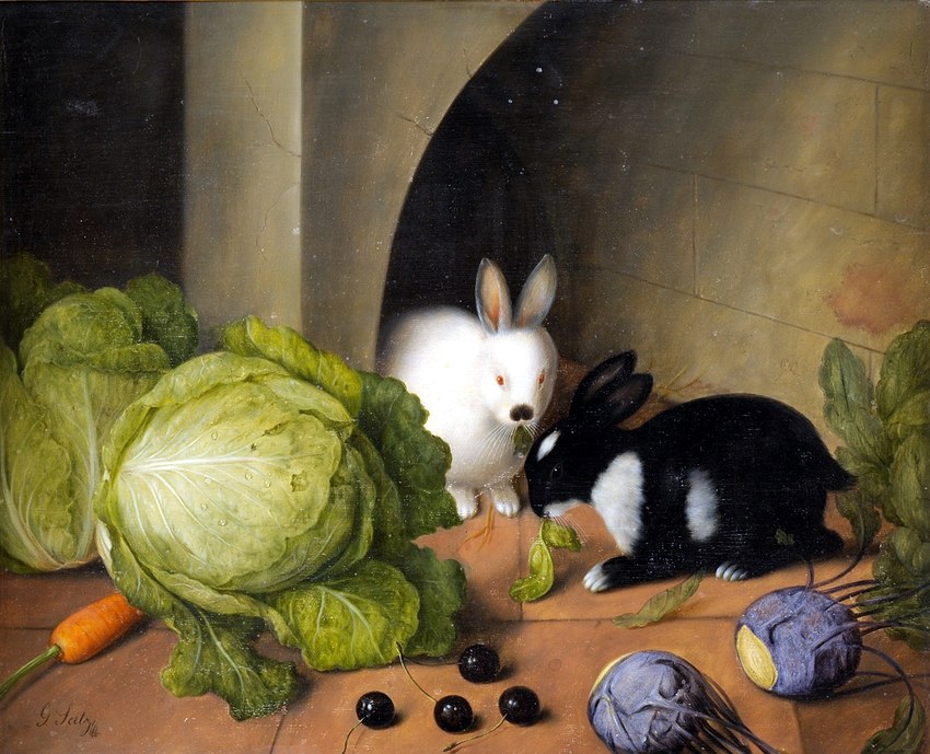 ambiguous_gender black_body black_fur cabbage carrot duo eating eating_food feral food fur long_ears markings paws plant vegetable white_body white_fur white_markings johann_georg_seitz lagomorph leporid mammal rabbit 19th_century ancient_art painting_(artwork) traditional_media_(artwork)