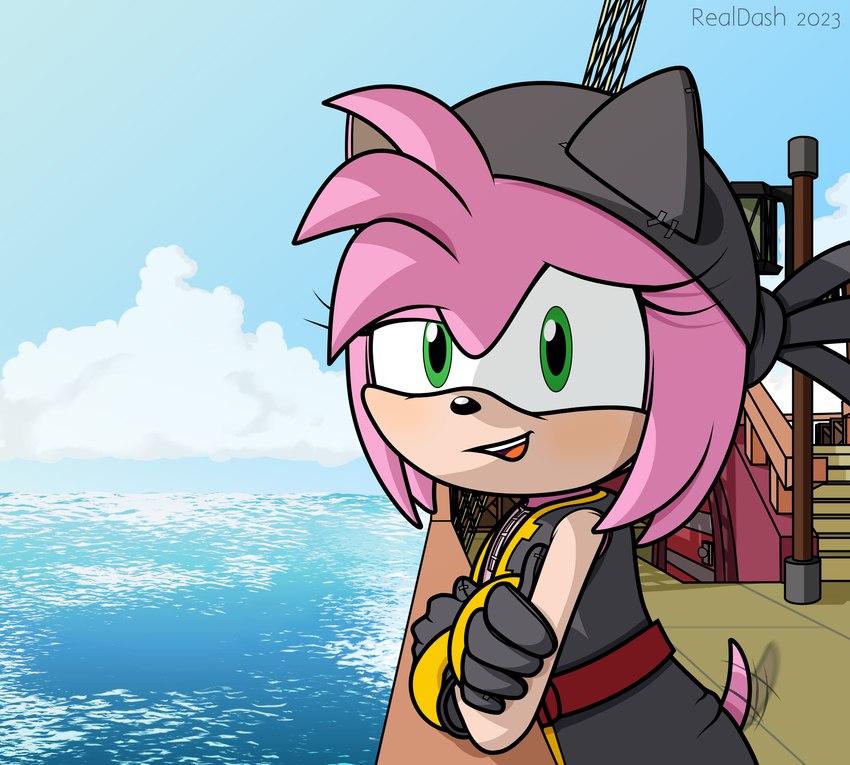 alternate_universe anthro arm_support blush clothed clothing crossed_arms day female hair hat headgear headwear leaning leaning_forward leaning_on_elbow lidded_eyes looking_at_viewer open_mouth pink_body pirate railing sea ship smile solo tail tail_motion tailwag tan_arms vehicle water watercraft realdash netflix sega sonic_prime sonic_the_hedgehog_(series) amy_rose black_rose_(sonic) eulipotyphlan hedgehog mammal cel_shading hi_res shaded