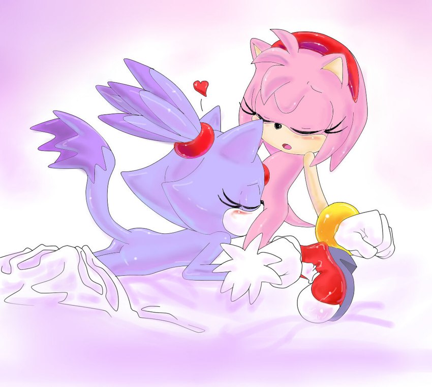 amy rose and blaze the cat (sonic the hedgehog (series) and etc) created by randomguy999