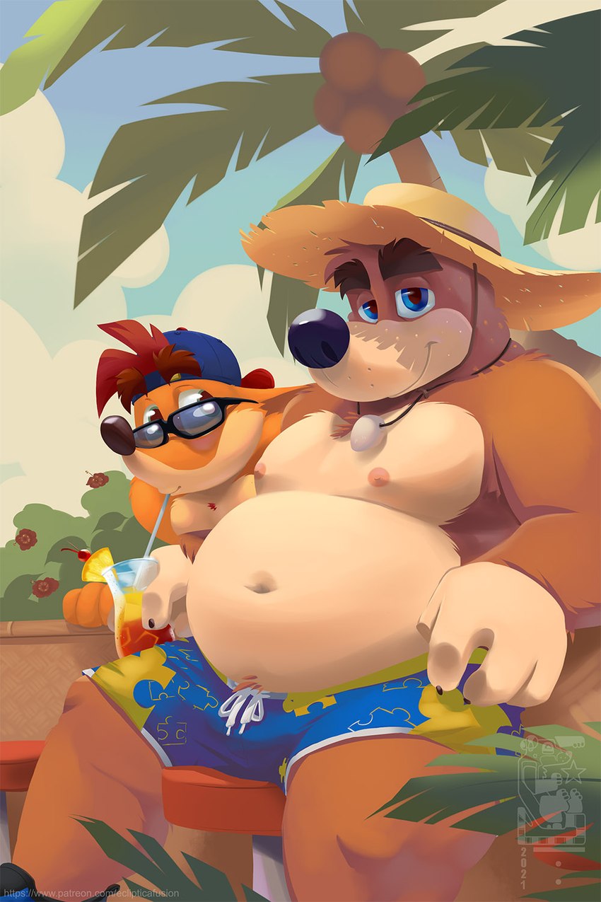 banjo and crash bandicoot (crash bandicoot (series) and etc) created by eclipticafusion