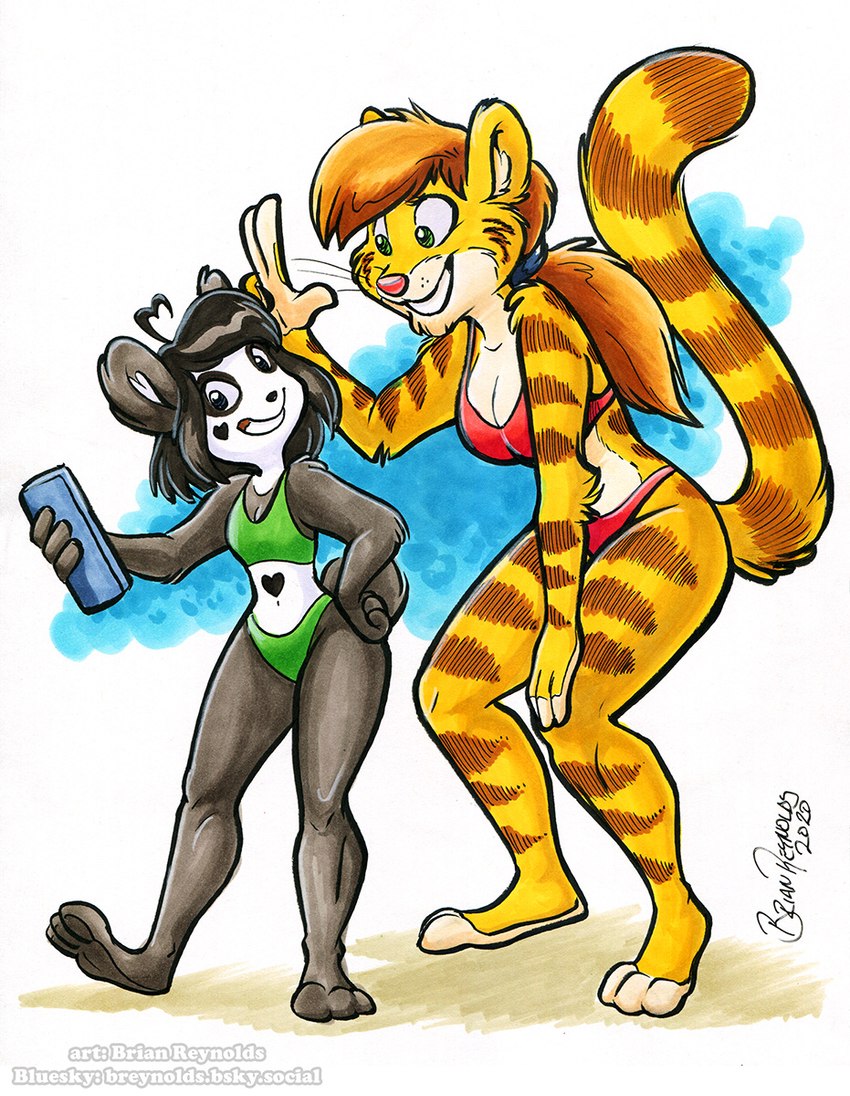 anthro bikini black_body black_fur black_hair breasts brown_hair cellphone clothing duo electronics female fur hair markings medium_breasts midriff navel phone small_breasts smile striped_body striped_fur striped_markings striped_tail stripes swimwear tail tail_markings two-piece_swimsuit yellow_body yellow_fur brian_reynolds gloria_(toonfx) bear domestic_cat felid feline felis giant_panda mammal 2020 hi_res