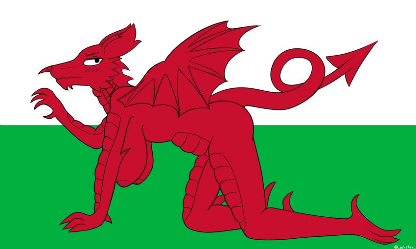 abstract_background all_fours anthro arm_support bent_arm bent_legs big_breasts big_butt blush breasts butt extended_arm female flag flag_background forward_arm_support hanging_breasts kneeling looking_away nipples raised_tail red_body red_skin simple_background solo spade_tail tail thin_tail wales welsh_flag wings conditional_dnp whitev european_mythology mythology welsh_dragon dragon mythological_creature mythological_scalie reptile scalie western_dragon 2021 5:3 digital_media_(artwork) flat_colors hi_res