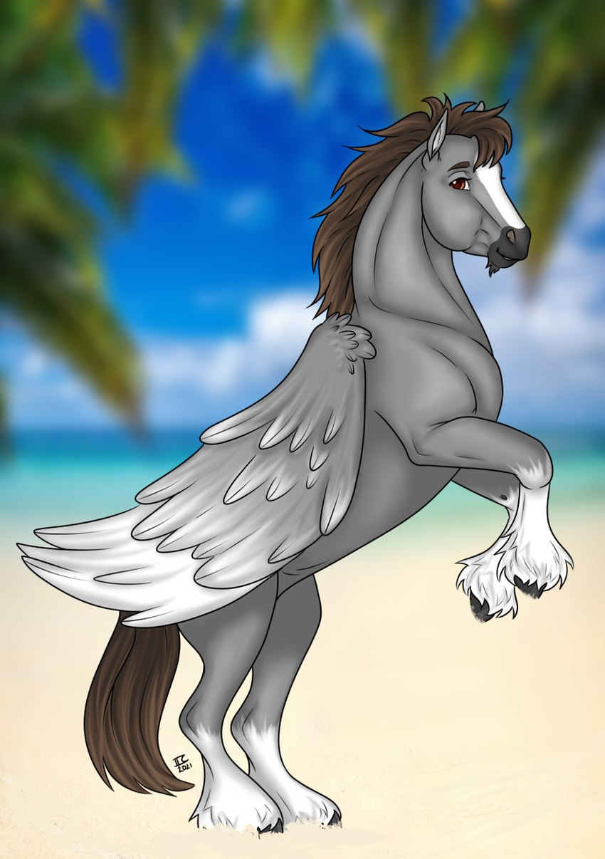 beach blurred_background brown_eyes brown_hair cloud feathered_wings feathers feral fetlocks fur grey_body grey_fur hair leg_markings looking_at_viewer male markings on_hind_legs plant sand seaside socks_(marking) solo tree wings tabascocat mythology dallas_prairiewind equid equine mammal mythological_creature mythological_equine pegasus hi_res