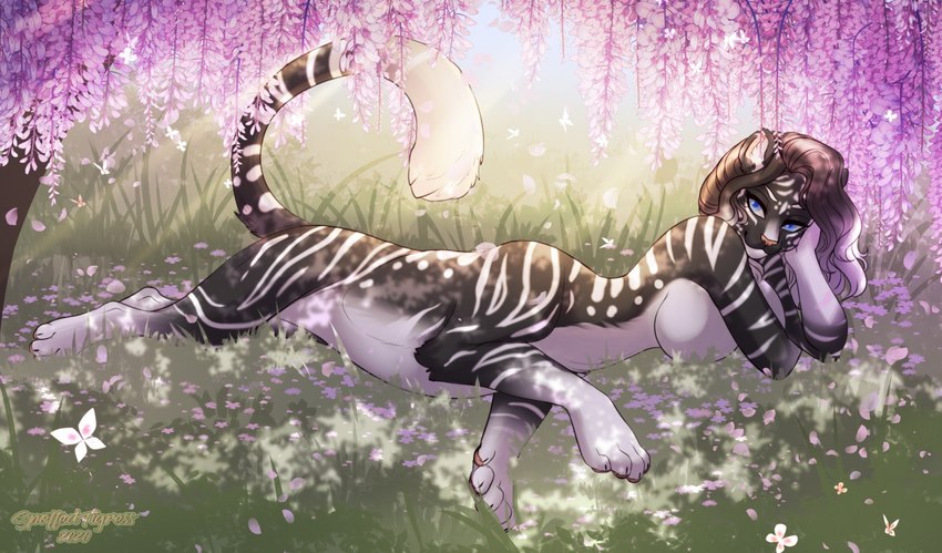 chakat whitestripe created by tiggybloom