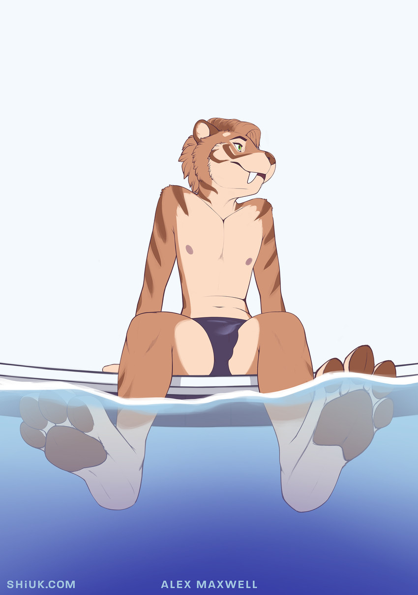 4_toes anthro bulge clothed clothing feet foot_focus fur green_eyes male navel partially_submerged pawpads paws soles solo speedo swimwear toes topless water shiuk alex_maxwell felid mammal prehistoric_species saber-toothed_tiger smilodon absurd_res hi_res