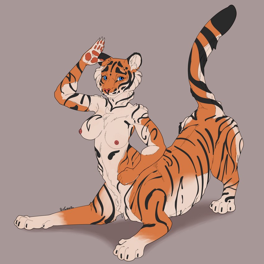 breasts countershading female nipples raised_tail solo tail srcook felid felid_taur mammal mammal_taur pantherine pantherine_taur taur tiger tiger_taur 1:1 hi_res