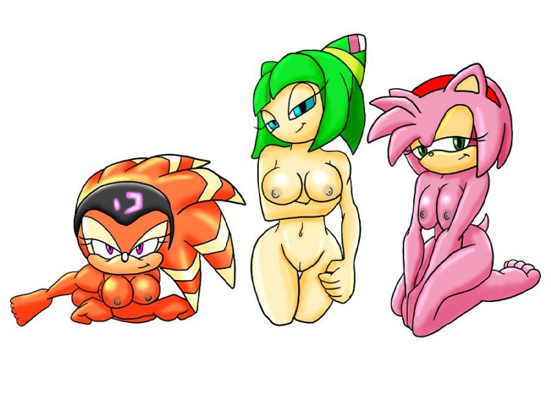 amy rose, cosmo the seedrian, and shade the echidna (sonic chronicles: the dark brotherhood and etc) created by thegeckoninja