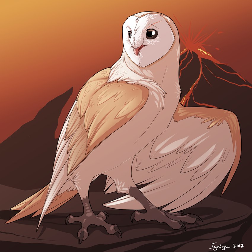 ambiguous_gender black_eyes brown_body brown_feathers feathers feet feral lava orange_background scar simple_background solo talons toes volcano white_body white_feathers ignigeno guardians_of_ga'hoole coryn_(gogh) avian barn_owl bird owl tyto tytonid 1:1 2017 male_(lore)