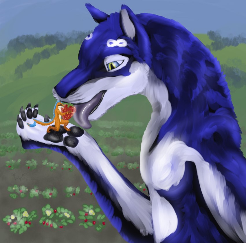 anthro extreme_size_difference food fruit licking plant size_difference strawberry tail tongue tongue_out vore wolfywetfurr_(artist) mythology infinite wolfywetfurr alaskan_malamute canid canine canis domestic_dog dragon fox hybrid mammal mythological_creature mythological_scalie nordic_sled_dog scalie spitz wolf 2017 hi_res