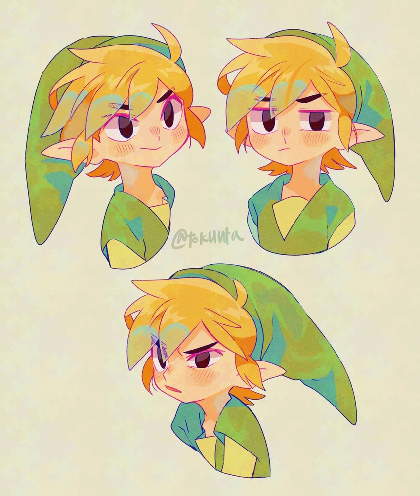 blonde_hair clothing hair hat headgear headwear humanoid_pointy_ears light_body light_skin male not_furry pointy_ears simple_background solo tokuura nintendo the_legend_of_zelda wind_waker toon_link humanoid hylian hi_res signature