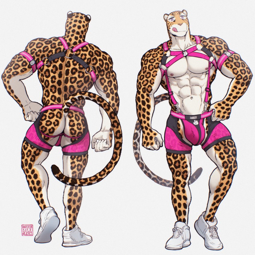 abs anthro bulge butt clothed clothing detailed_bulge footwear front_and_back genitals harness jockstrap male muscular muscular_anthro muscular_male nipples pose shoes simple_background smile solo standing tail tongue tongue_out underwear maririn johnathan_fretchman felid leopard mammal pantherine 1:1 digital_media_(artwork) hi_res pinup