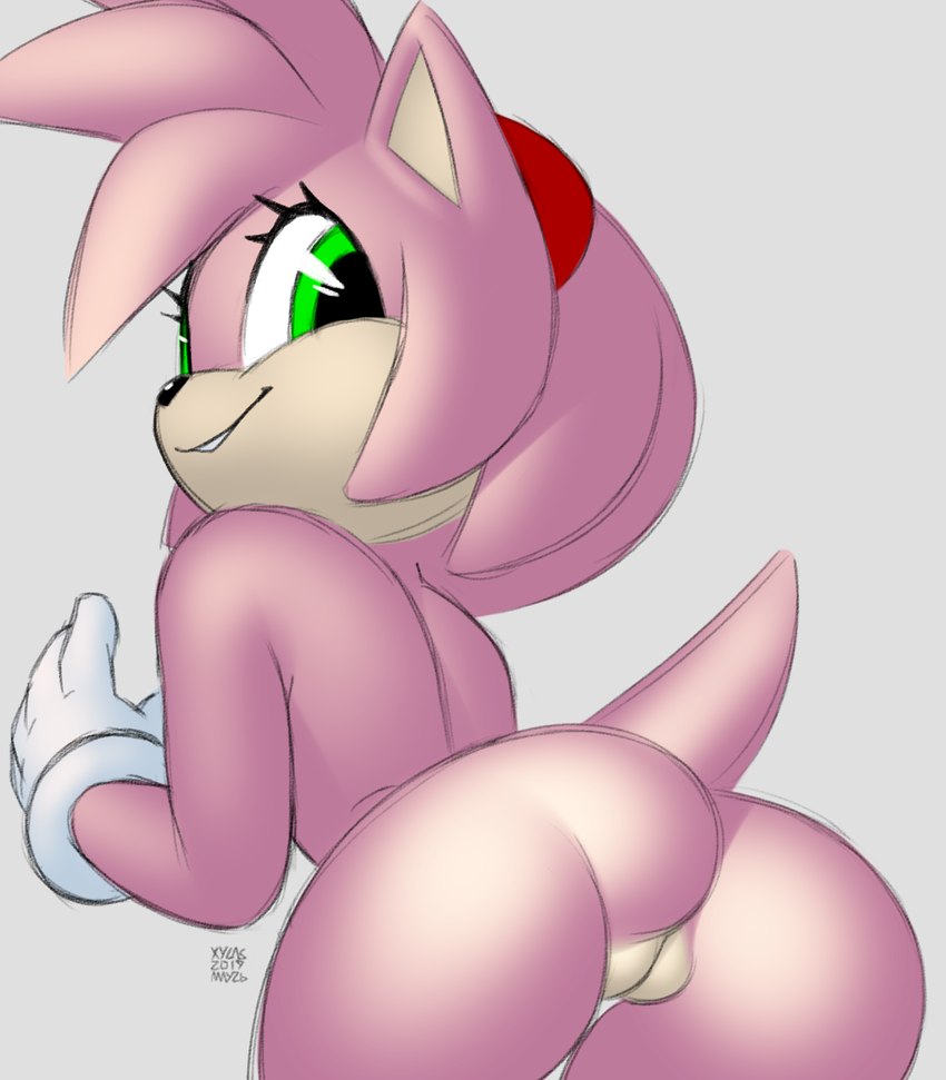 amy rose (sonic the hedgehog (series) and etc) created by xylas