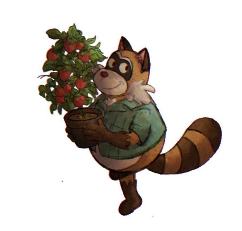 anthro clothing food fruit male overweight overweight_male plant red_nose shirt simple_background smile solo strawberry topwear white_background hxboox03 robot_dreams rascal_(robot_dreams) mammal procyonid raccoon 2024