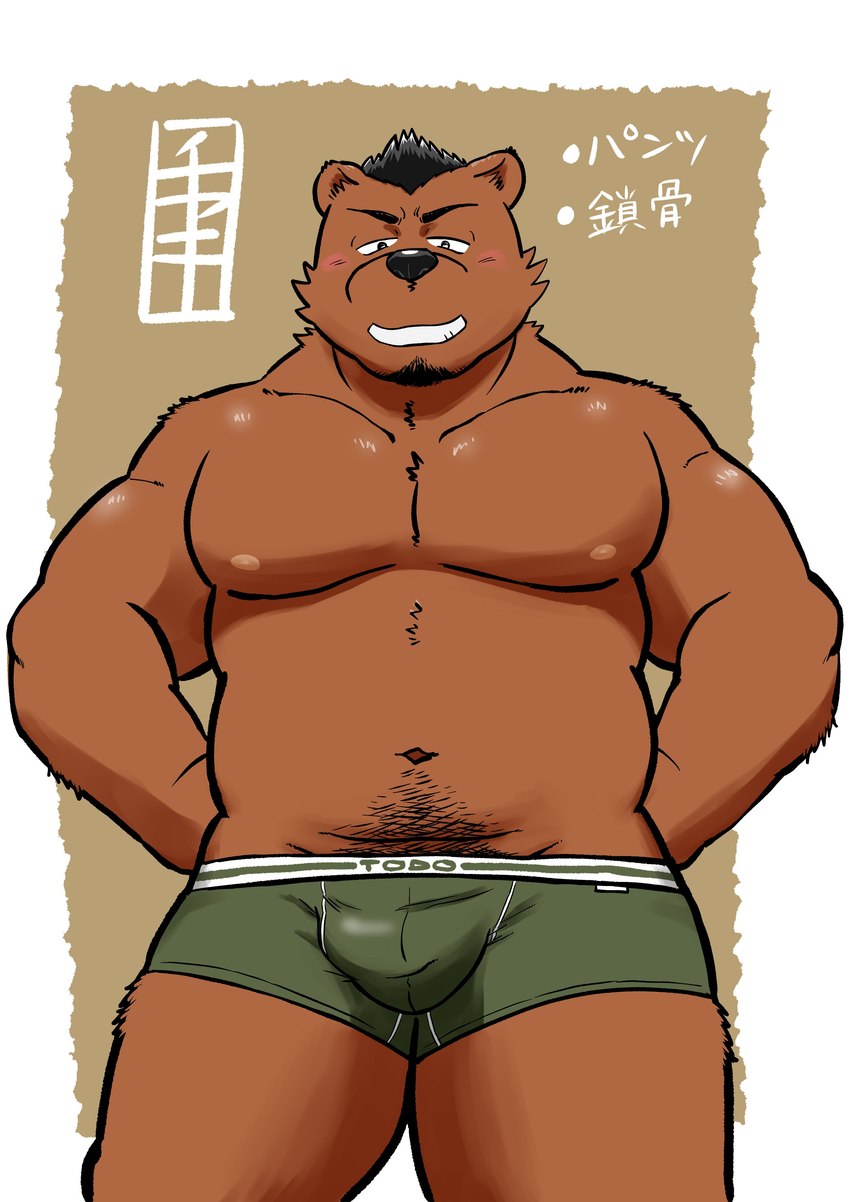 anthro black_nose blush brown_body bulge clothing kemono male navel nipples solo text underwear ch_ia_ki bear mammal 2022 absurd_res hi_res japanese_text