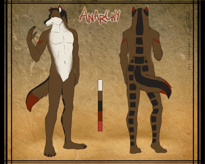 anthro black_hair black_markings brown_body brown_fur color_swatch fur hair male markings navel red_eyes red_markings solo text white_markings tameraali canid canine mammal 2012 character_name english_text model_sheet