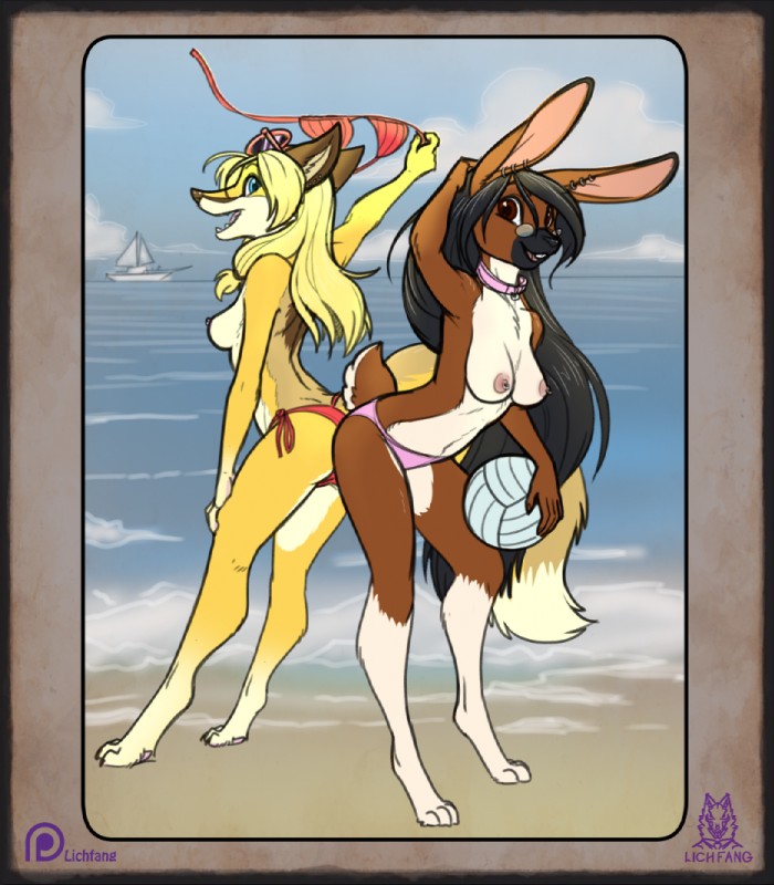 anthro beach bikini black_hair black_nose blonde_hair blue_eyes boat breasts brown_body brown_eyes brown_fur clothed clothing collar collar_ring dipstick_ears dipstick_tail duo ear_markings ear_piercing ear_ring eyebrows eyelashes eyewear female female_anthro fur glasses gloves_(marking) hair leg_markings long_hair looking_at_viewer markings multicolored_ears nipple_piercing nipple_ring nipples partially_clothed piercing ring_piercing sailing_boat sailing_watercraft sea seaside smile socks_(marking) sunglasses swimwear tail tail_markings topless topless_anthro topless_female two-piece_swimsuit vehicle water watercraft white_body white_fur yellow_body yellow_fur lichfang grace_(gracethegoldenfurred) grace_o'malley megan_bryar canid canine fox lagomorph leporid mammal rabbit