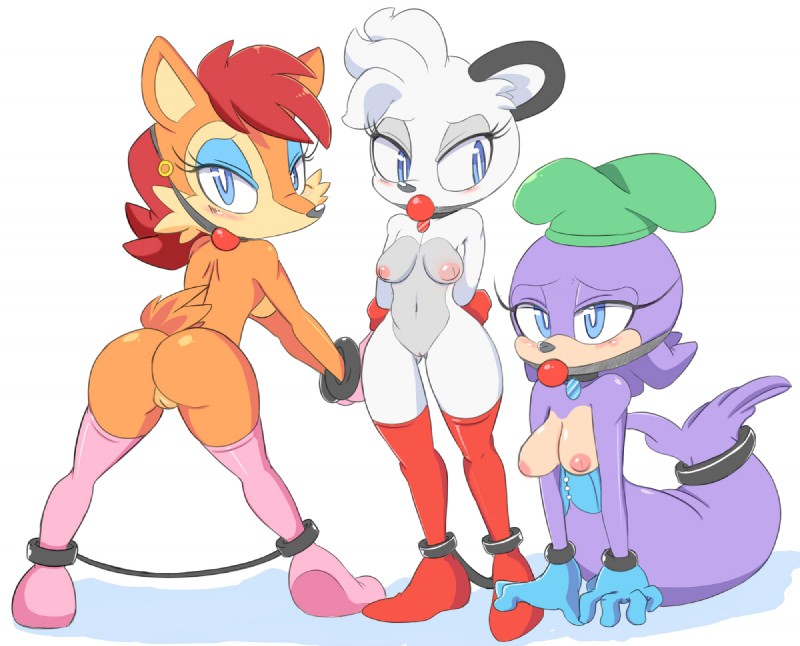 anthro ball_gag bdsm blush bondage bound butt clothing corset cuff_(restraint) female gag gagged genitals gloves group handcuffed handcuffs handwear legwear lingerie metal_cuffs navel nipples pussy restraints simple_background stockings topwear white_background cloudz archie_comics sega sonic_the_hedgehog_(archie) sonic_the_hedgehog_(comics) sonic_the_hedgehog_(series) barby_koala erma_ermine sealia_seal koala mammal marine marsupial mustelid musteline pinniped seal stoat true_musteline vombatiform weasel digital_media_(artwork)