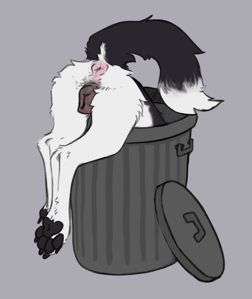 4_toes anatomically_correct anatomically_correct_anus anatomically_correct_genitalia anatomically_correct_pussy animal_genitalia animal_pussy anus black_body black_fur butt canine_genitalia canine_pussy claws faceless_character faceless_female feet female feral fur genitals inside_trash_can multicolored_body multicolored_fur pawpads paws presenting presenting_anus presenting_hindquarters presenting_pussy pussy simple_background solo tail tail_anus toe_claws toes trash_can white_body white_fur katlin katlin_perkins border_collie canid canine canis collie domestic_dog herding_dog mammal pastoral_dog sheepdog hi_res