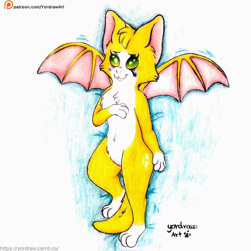 :3 anthro bed butt dakimakura female fur furniture green_eyes lying lying_on_bed on_back on_bed patreon_logo patreon_username smile smiling_at_viewer solo spread_legs spreading text wings yellow_body yordraw dust:_an_elysian_tail patreon fidget_(elysian_tail) bat felid feline mammal nimbat 1:1 dakimakura_design hi_res url