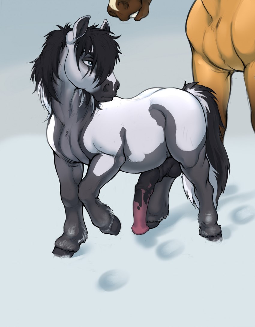 ambiguous_gender anatomically_correct anatomically_correct_genitalia anatomically_correct_penis animal_genitalia animal_penis balls black_balls black_hair black_mane black_penis blue_eyes day duo equine_genitalia equine_penis eyebrows feral fur genitals grey_body grey_fur grey_nose grin hair half-erect hooves leg_markings male male_focus mane markings medial_ring mottled mottled_genitalia mottled_penis outside penis pink_penis quadruped simple_background smile snow socks_(marking) solo_focus tail tan_body tan_fur teeth unguligrade white_body white_fur white_hair conditional_dnp tgt1512 golden_wing tega_(tgt1512) equid equine horse mammal pony shetland_pony 2024 digital_media_(artwork) digital_painting_(artwork) hi_res