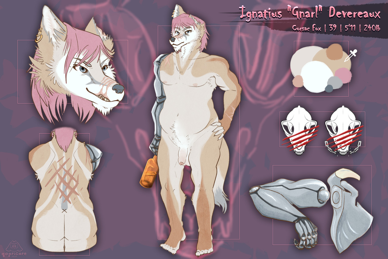 alcohol anthro balls beverage ear_piercing ear_ring foreskin genitals male overweight overweight_male penis piercing prosthetic ring_piercing scar solo torn_ear torn_lip backalleyarts qapricore ignatius_"gnarl"_devereaux canid canine corsac_fox fox mammal true_fox 3:2 absurd_res hi_res model_sheet