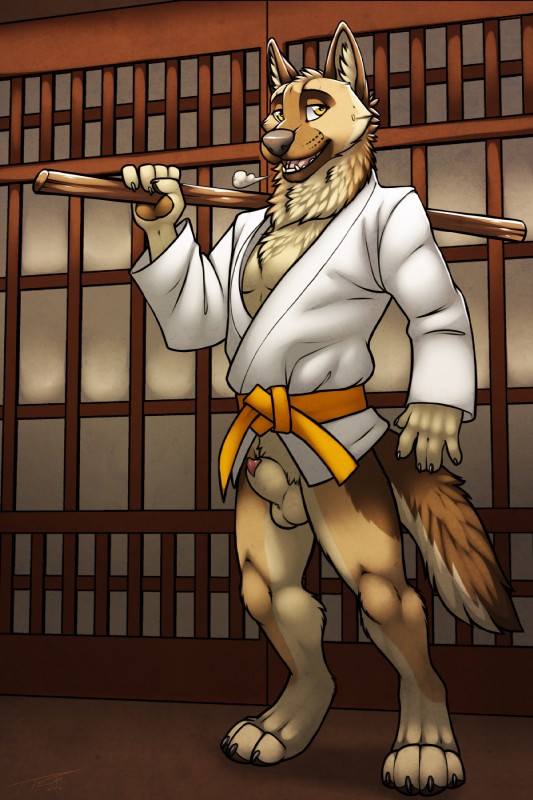 4_toes 5_fingers animal_genitalia anthro balls belt bottomless breath claws clothed clothing detached_sheath digitigrade dojo feet fingers fur genitals holding_object inner_ear_fluff keikogi looking_aside looking_at_viewer male martial_arts_uniform orange_belt penis penis_tip pose sheath smile solo sportswear staff tan_body tan_fur toes tuft yellow_eyes tsaiwolf aniel canid canine canis domestic_dog german_shepherd herding_dog mammal pastoral_dog 2:3 hi_res pinup